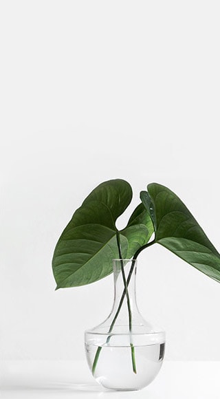 banner-8