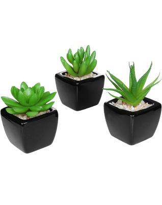 Mini Succulent Artificial Plants with Square Black Ceramic Pots