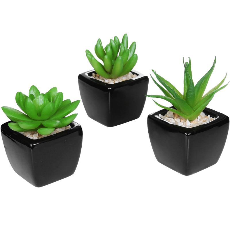 Mini Succulent Artificial Plants with Square Black Ceramic Pots