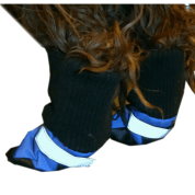 HDP Dog Boots Blue Set of 4 Medium 