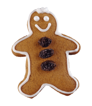 Gingerbread Man Cookies