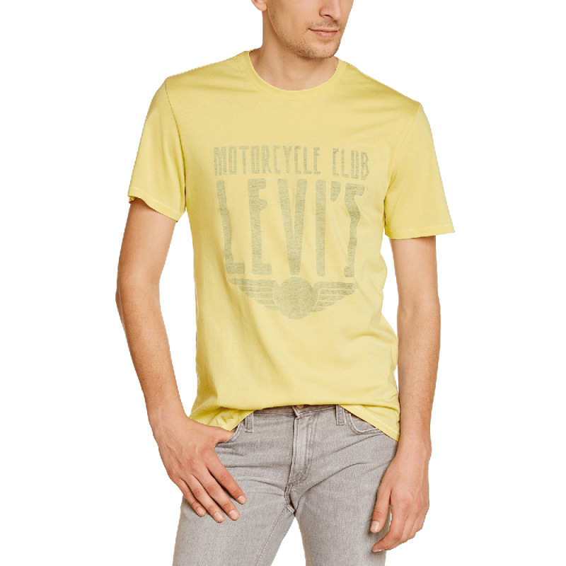 Levi's Men's Graphic Set In Neck Tunic Short Sleeve