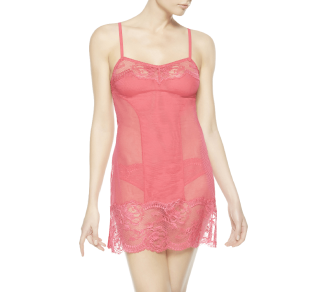 Begonia Slip