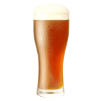 Heineken Lager