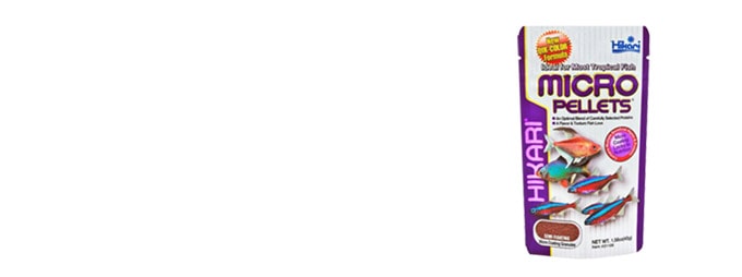 banner-two-1
