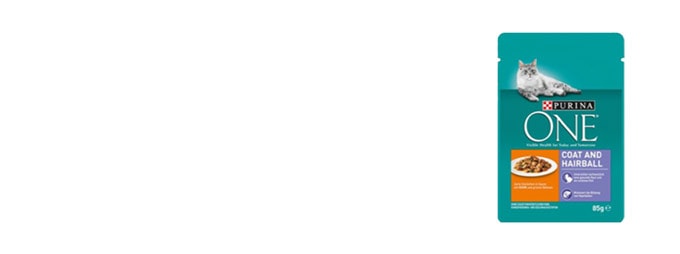 banner-two-2