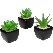 Mini Succulent Artificial Plants with Square Black Ceramic Pots