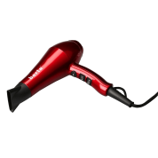 Berta Professional Blow Dryer
