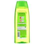 Garnier Fructis