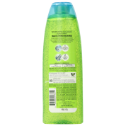 Garnier Fructis