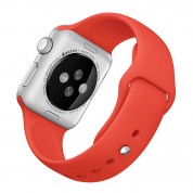 Apple 38 MMWatch Stainless Steel Case 
