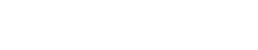 StoreFlex
