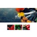 Spice Food Shop Shop Template