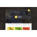 Holsters Online Store Shop Template