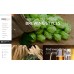 Brewery Responsive Shop Template