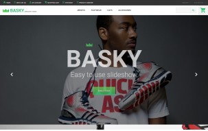 Basky Shop Template