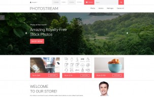 Photostream Shop Template