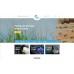 Fishing Store Shop Template