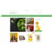 Fresh Food - Healthy & Organic Food Store Shop Template