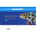 Best Friends - Animal Responsive Practical Shop Template